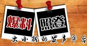 图片新闻爆料,揭秘XX事件背后的惊人真相